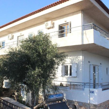 Minas Apartment 2Mins Walking From Stoupa Beach, Upgraded Wi-Fi Kültér fotó